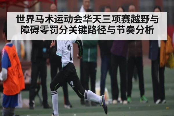 世界马术运动会华天三项赛越野与障碍零罚分关键路径与节奏分析